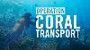 Israeli Navy S Underwater Operation Coral Transport
