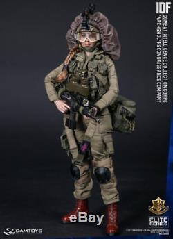 16 Échelle Damtoys 78043 Corps De Renseignement De Combat De La Fid Figure Collection Toy