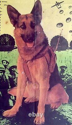 Affiche de film rare 1972 Israël IDF CULT FILM POSTER AZIT PARATROOPER DOG Hébreu JUIF.