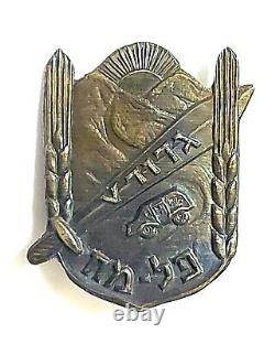 Bataillon 5 du Palmach de l'IDF en Israël. Palestine 1948. Insigne de broche. RRR.