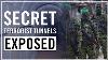 Exposition Des Tunnels Terroristes Secrets Du Hamas