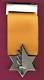 Israel Idf Véritable Médaille De Valeur Le Plus Haut Mil. Décoration 100% Authentique