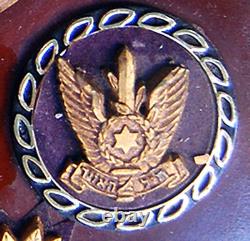 Militaire Jusqu'école Israël Airforce Fighter Squadron Emblème Des Fdi Zahal