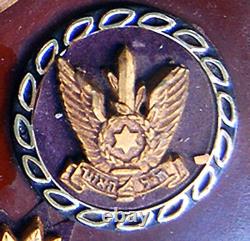 Militaire Jusqu'école Israël Airforce Fighter Squadron Emblème Des Fdi Zahal