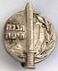 Rare 1950's Haganah Haifa Pin Badge Idf Zahal Israel Translates To "insigne Rare Des Années 1950 De Haganah Haïfa, Idf Zahal Israël" In French.